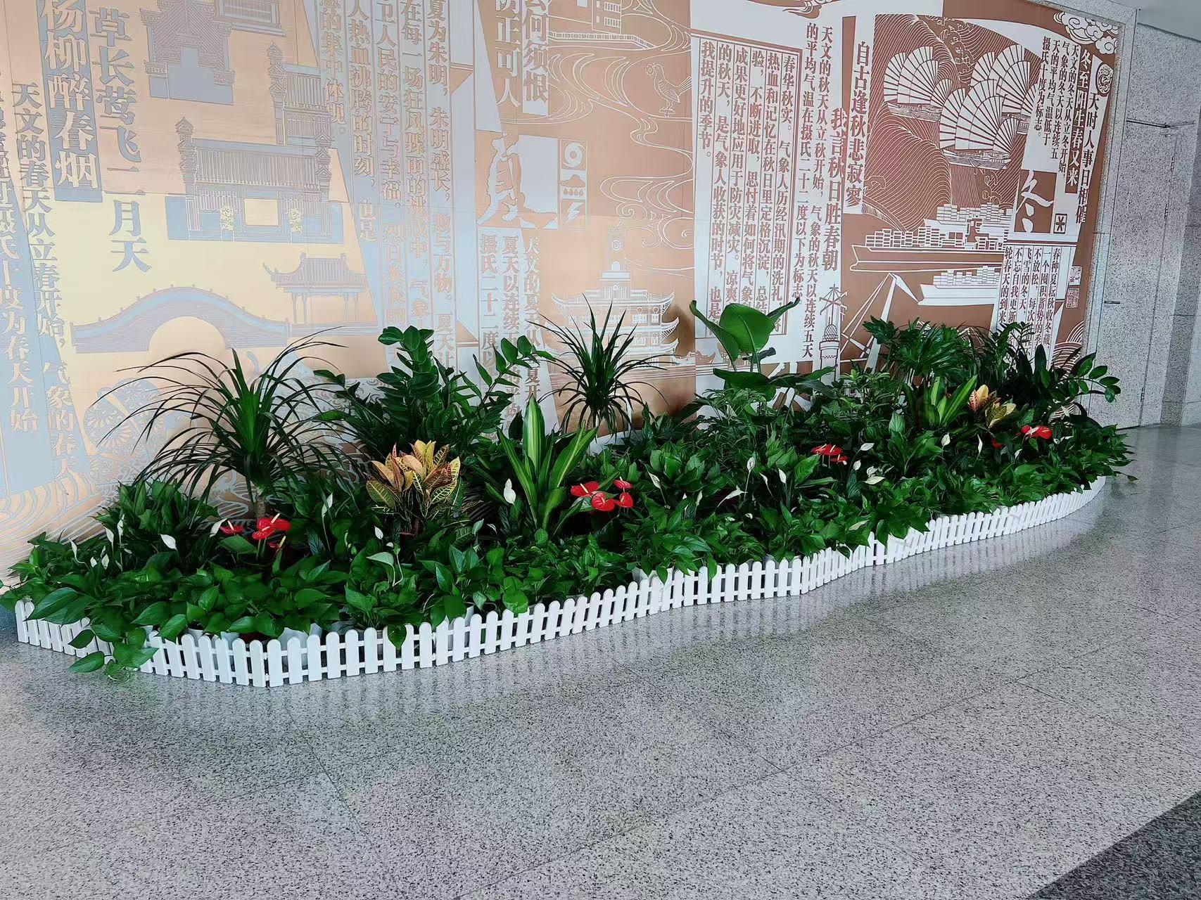 宁波慈溪盆景租赁